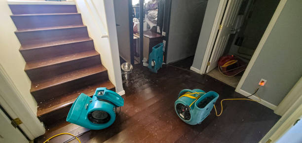 Best Wood Floor Water Damage Restoration in USA